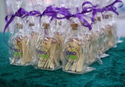 ACTIVITIES & DAY TRIPS 14