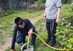 SUNDAY CLUB 28 Sunday Club gardening Step by Step